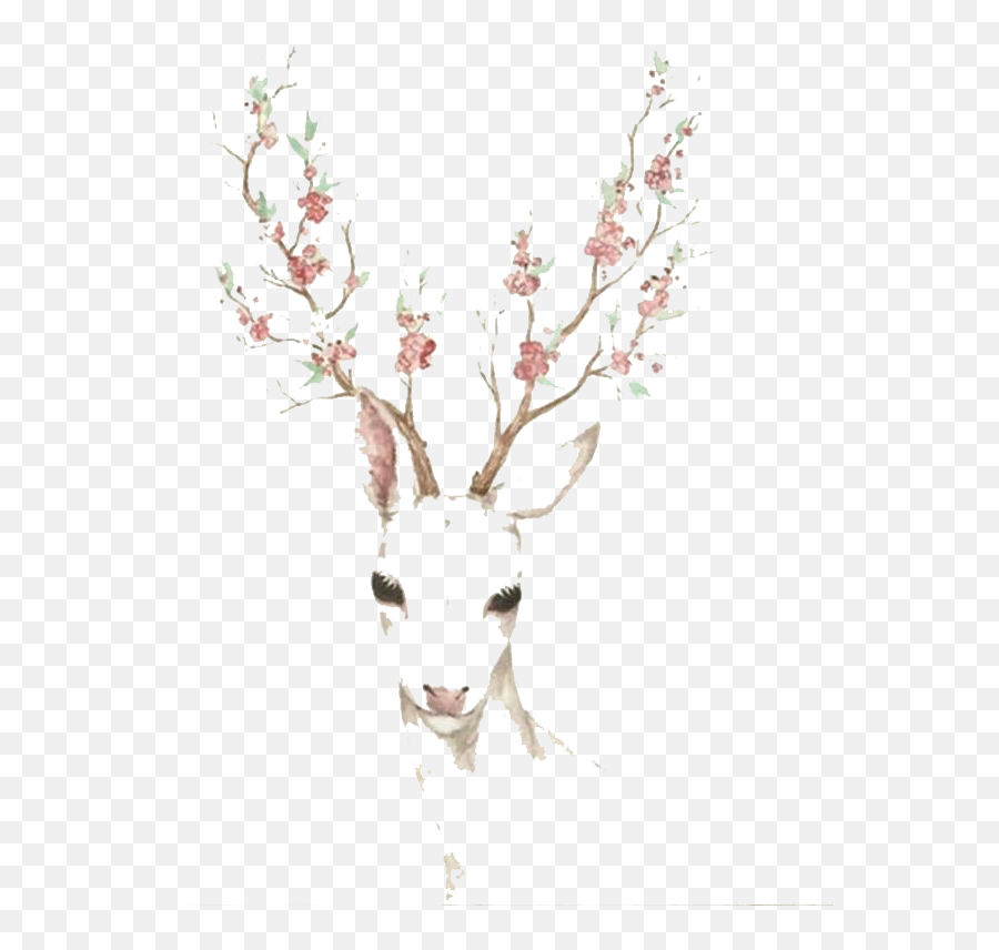 Download Elk Blossom Cherry Deer Watercolor Paper Antler - Deer Emoji,Antlers Clipart