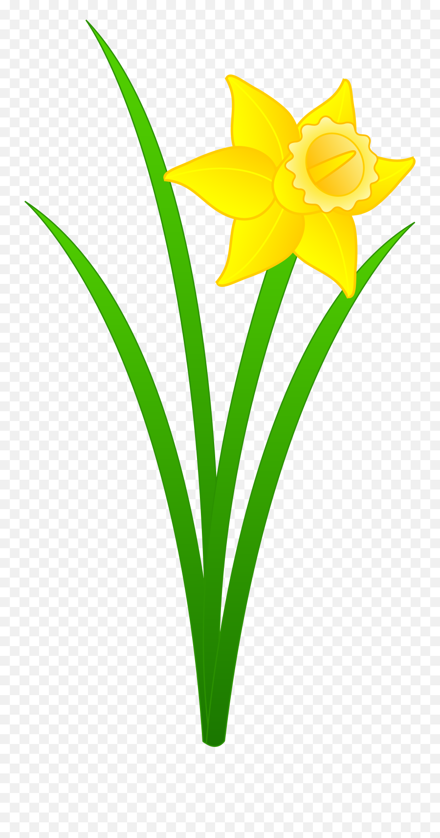 Newform - Clip Art Daffodil Emoji,March Clipart
