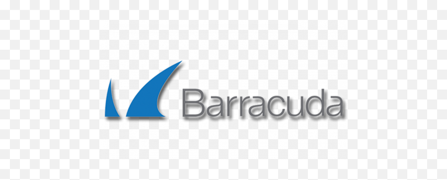 Managed It Services Cyber Security Services Cloud Services - Barracuda Networks Logo Png Emoji,Vtech Logo