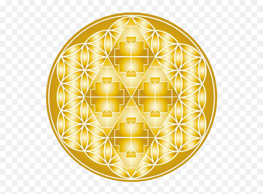 Charity U2014 Mystic Art Medicine Emoji,Flower Of Life Logo