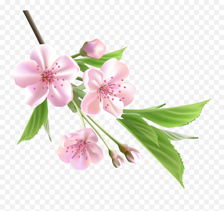 Spring Flowers Png - Transparent Background Spring Flower Png Emoji,Spring Flowers Clipart