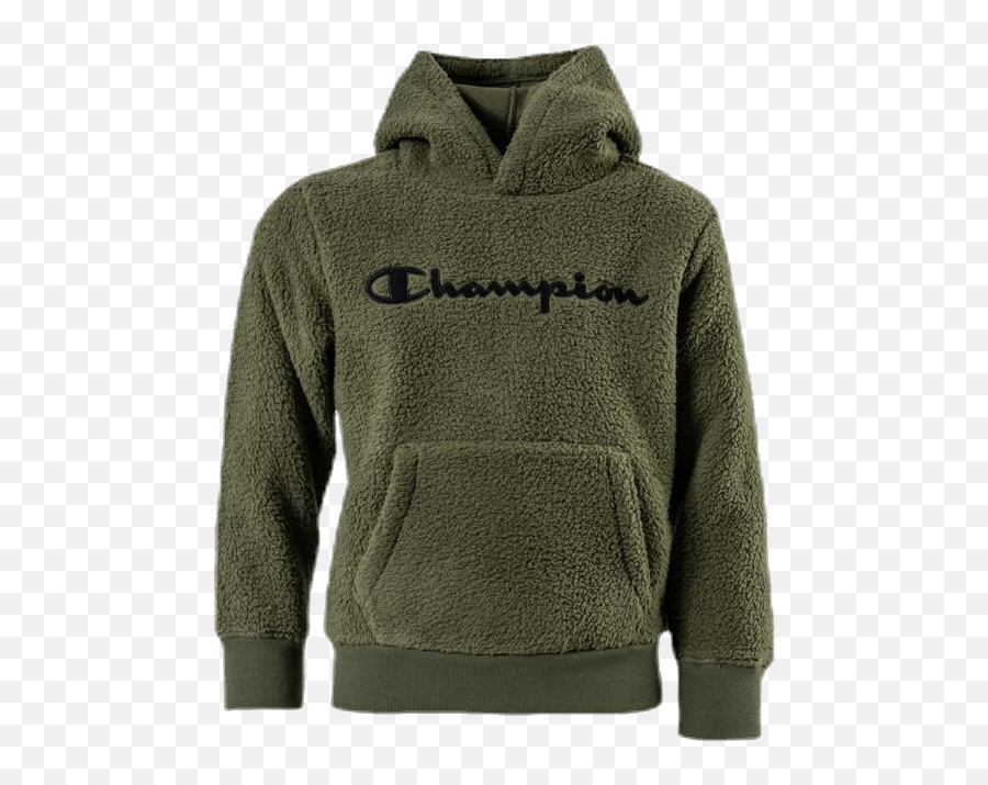 Buy Teddy Champion Hoodie Cheap Online Emoji,Champion Hoodie Big Logo