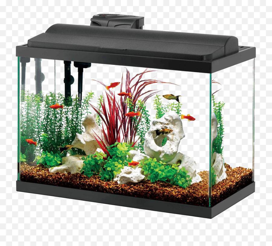 Aquarium Fish Tank Png - Transparent Rectangle Fish Tank Emoji,Tank Png