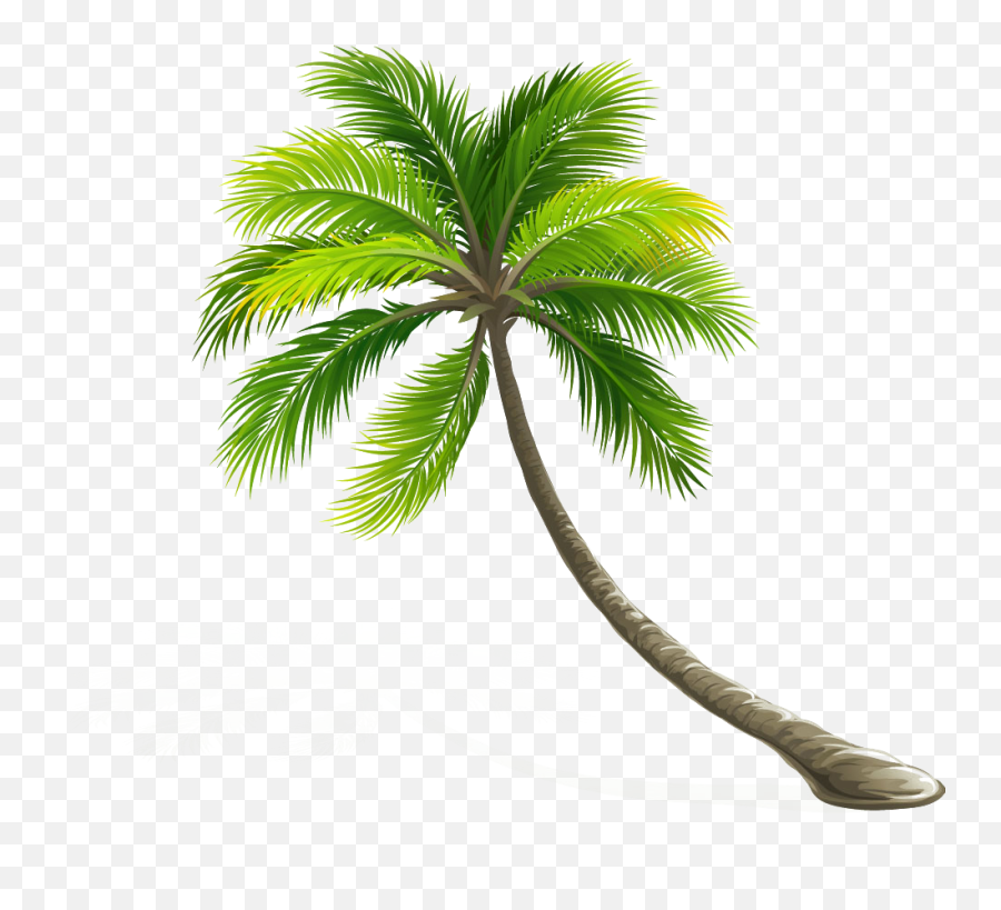 Download Hd Arecaceae Coconut Leaf Tree Hd Image Free Png - Transparent Background Coconut Tree Png Emoji,Coconut Clipart
