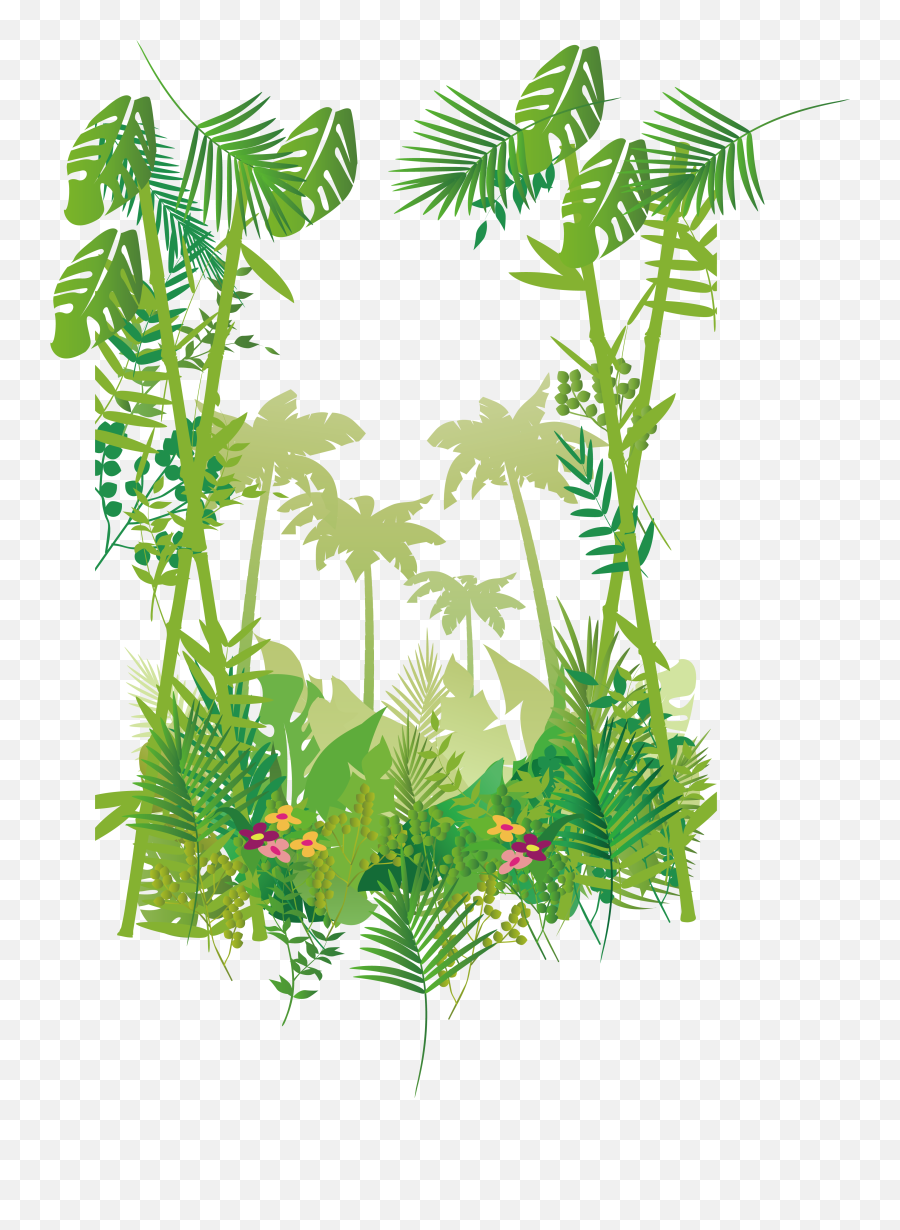 Botanical Vector Jungle Leaves Picture - Jungle Vector Free Png Emoji,Jungle Leaves Png