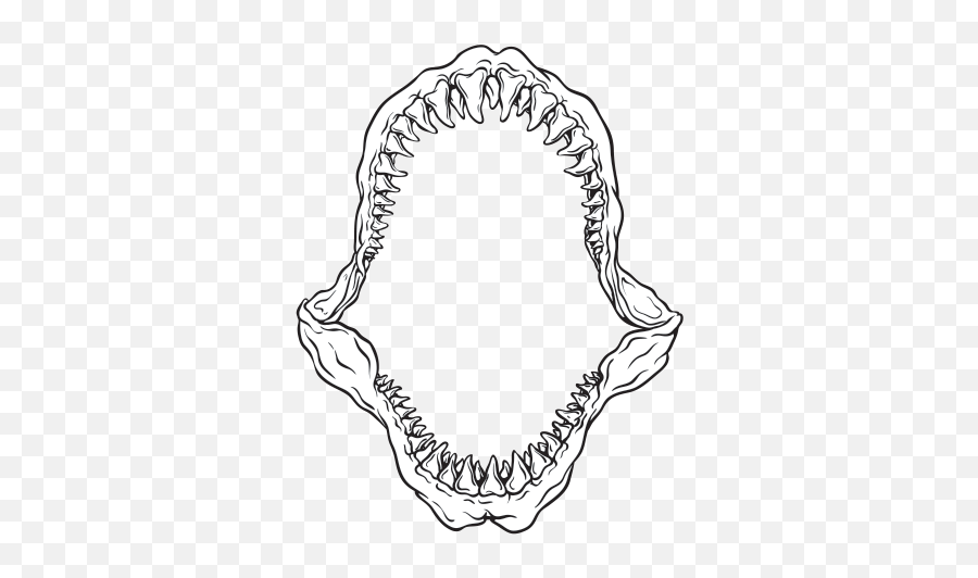 Shark Outline Png - Collection Of Free Jaws Drawing Great Shark Jaw Png Emoji,Shark Transparent Background