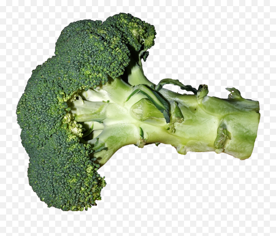 Broccoli - Yucky Broccoli Emoji,Broccoli Png