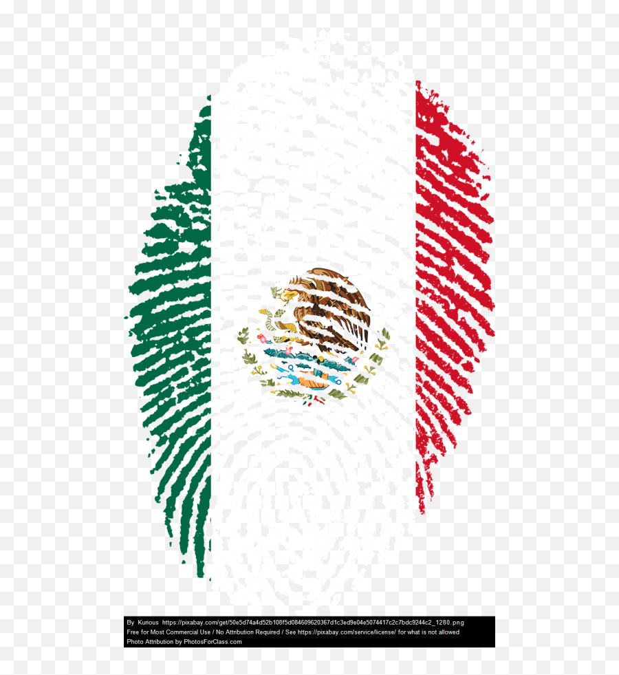 Confronting Conflicts Of Queerness - Fingerprint Flag Of France Png Emoji,Mexican Flag Png