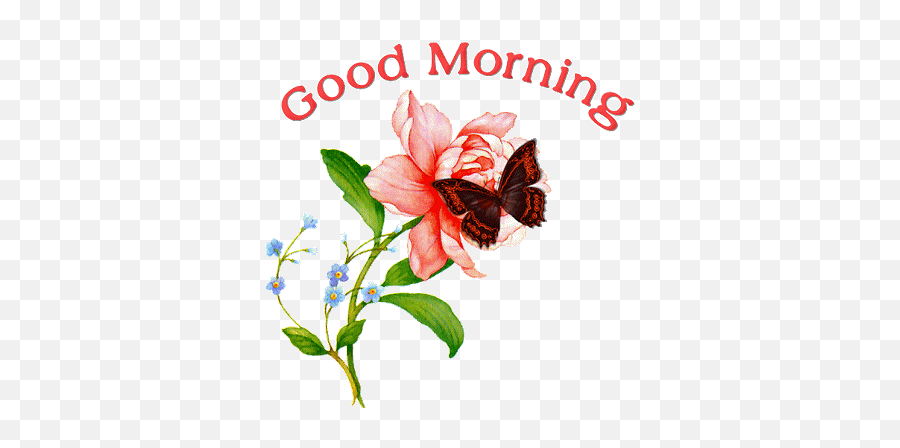 Good Morning Animation - Good Morning Happy Wednesday Gif Emoji,Good Morning Clipart