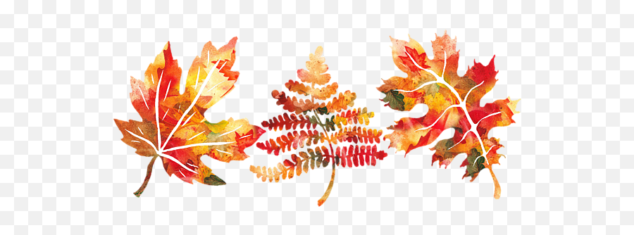 Fall Leaves Watercolor Silhouettes Oak Maple Fern Tapestry Emoji,Watercolor Leaf Png