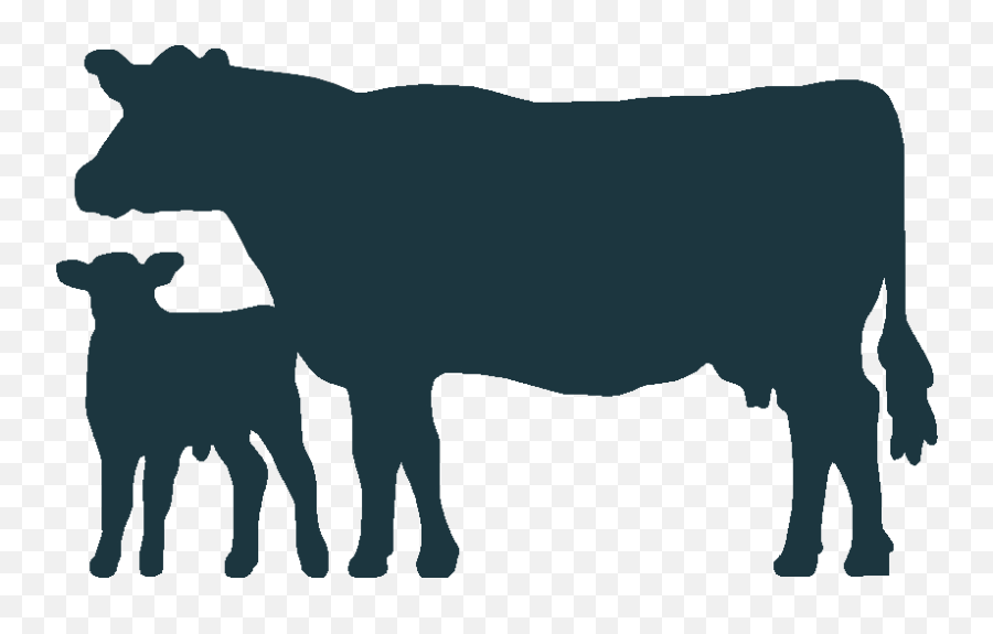 Cow Clipart Calf Picture 2558143 Cow Clipart Calf - Silhouette Cow Clipart Emoji,Cow Clipart