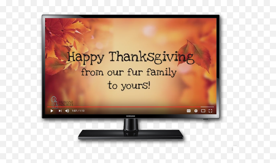 Happy - Thanksgiving Humane Society Of Broward Countyhumane Electronics Brand Emoji,Happy Thanksgiving Png