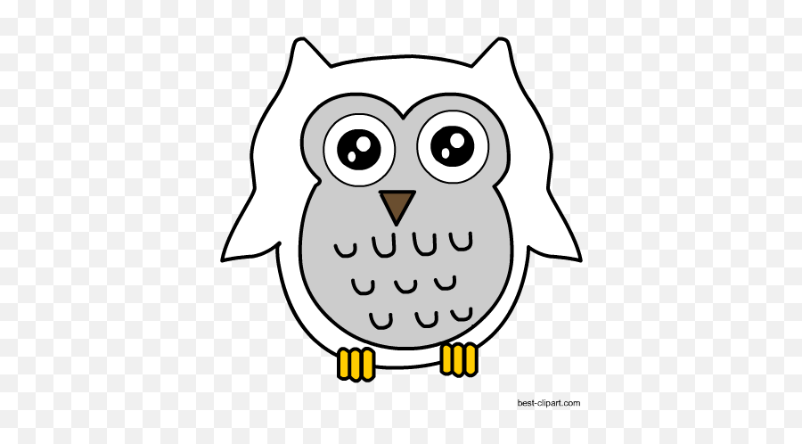 Download Hd Free Snowy Owl Clipart - Cartoon Transparent Png Dot Emoji,Owl Clipart