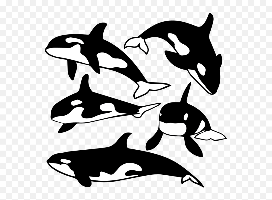 Pin - Orcas Silhouette Emoji,Fishing Clipart