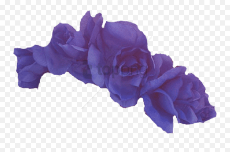 Free Png Purple Flower Crown Transparent Png Image - Dark Transparent Background Purple Flower Crown Emoji,Purple Flower Transparent
