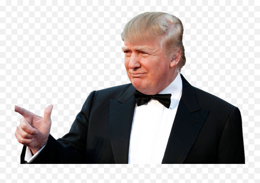 Download Donald Trump Png - Trump Transparent Bg Emoji,Donald Trump Png
