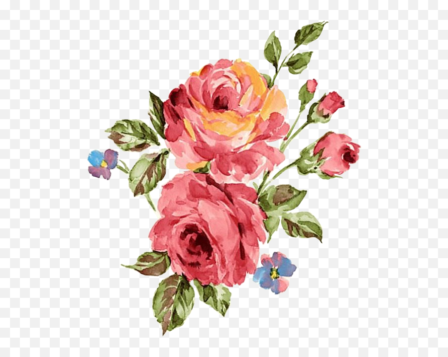 Flores Vintage - Rose Red Watercolors Transparent Hd Png Emoji,Vintage Roses Png