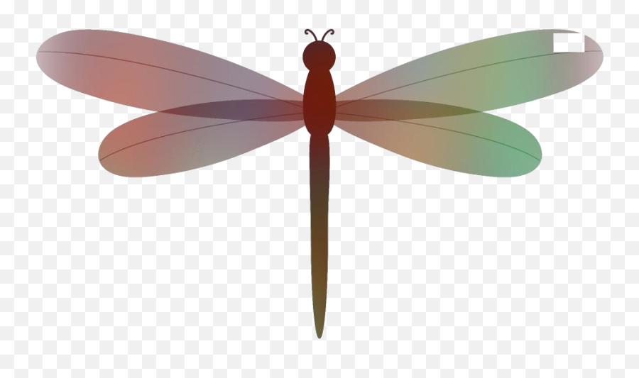 Dragonfly Png Background Pngimages Emoji,Dragonfly Png