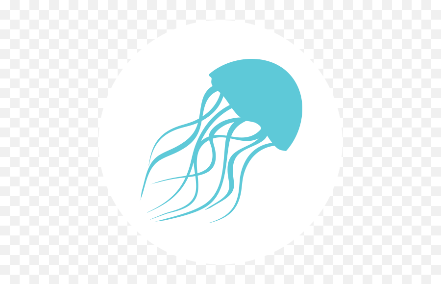Home - The Jellyfish App Website Jellyfish Icon Png Emoji,Jellyfish Transparent Background