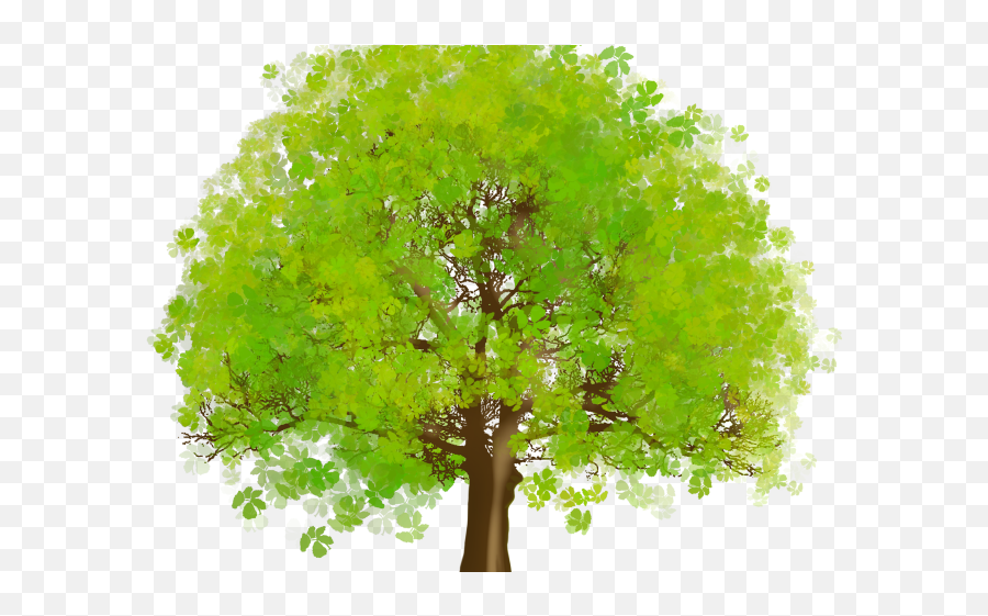 Illustrated Tree Cliparts - Beautiful Tree Clipart Beautiful Tree Clipart Emoji,Bare Tree Clipart