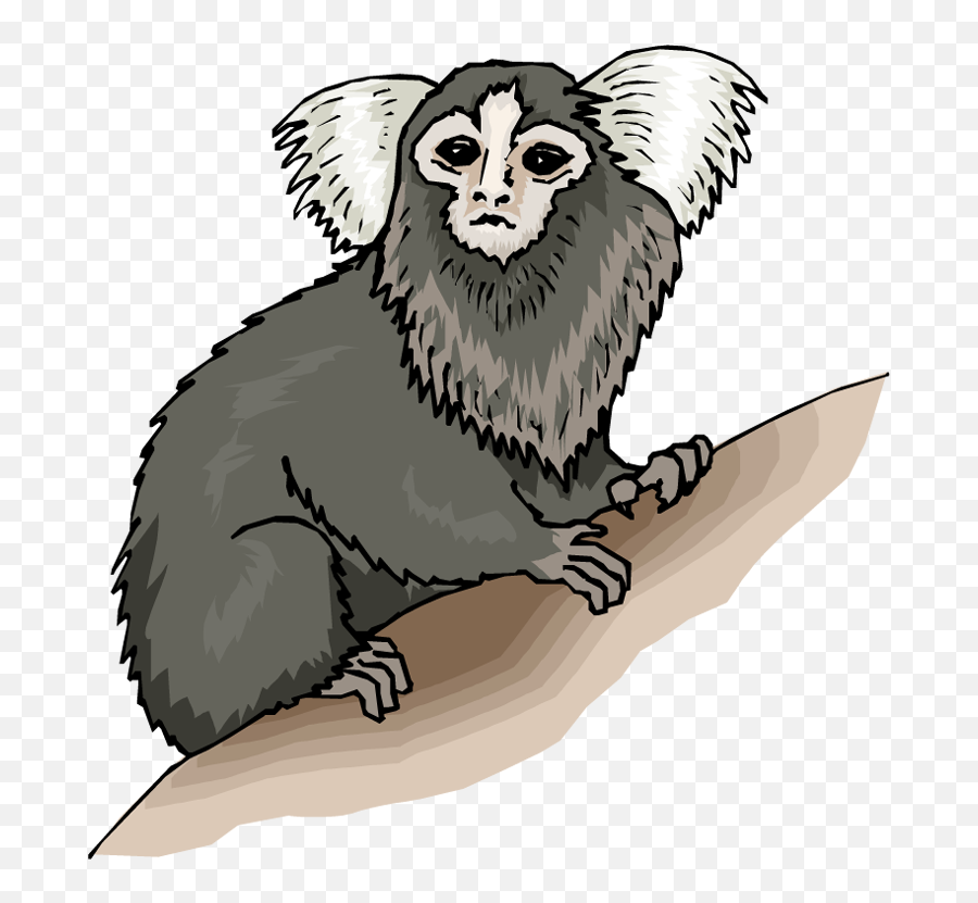 Free Monkey Clipart - Marmoset Clipart Emoji,Clipart Monkey