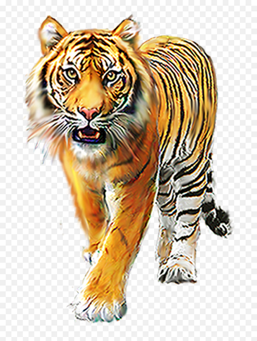 Download Cartoon Tiger Png - Editing Tiger Background Hd Emoji,Tiger Png