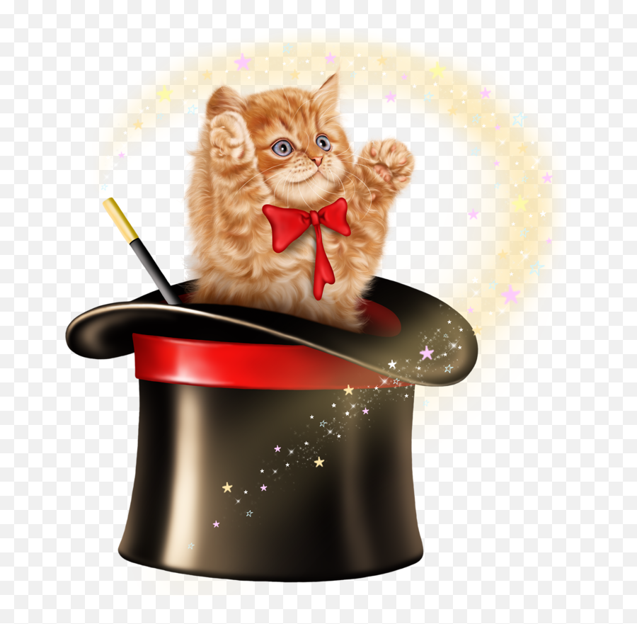 Download Hd Cat In Magic Hat Transparent Png Image - Nicepngcom Emoji,Cat In The Hat Transparent