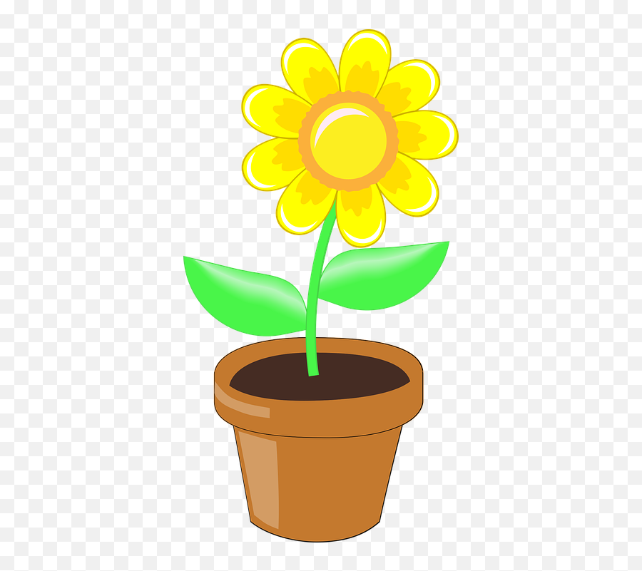 Free Photo Dandelion Yellow Flower Spring Garden Nature Emoji,Green And Yellow Flower Logo