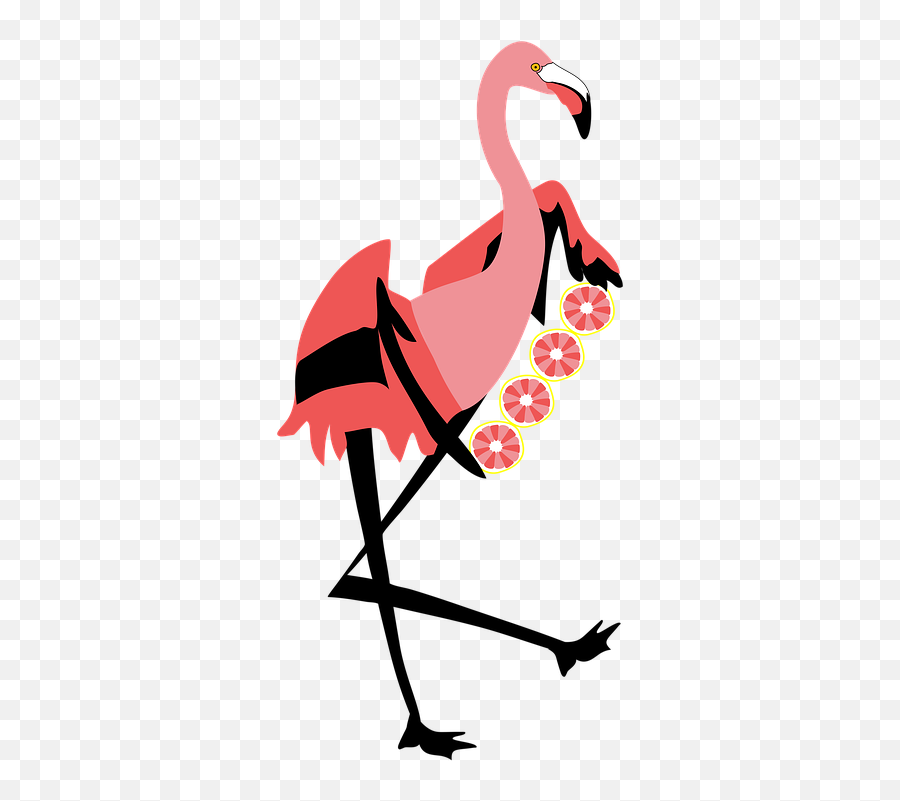 Free Photo Flamingo Grapefruit Plumage Pink Bird Animal Emoji,Pink Flamingos Clipart