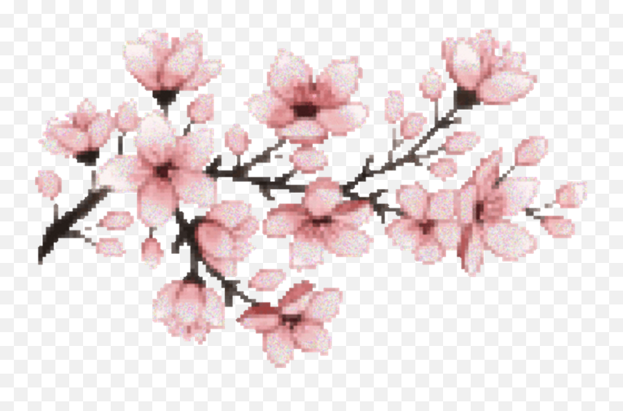 Cherry Blossom Tree Transparent - Aesthetic Cherry Blossom Png Emoji,Cherry Blossom Transparent
