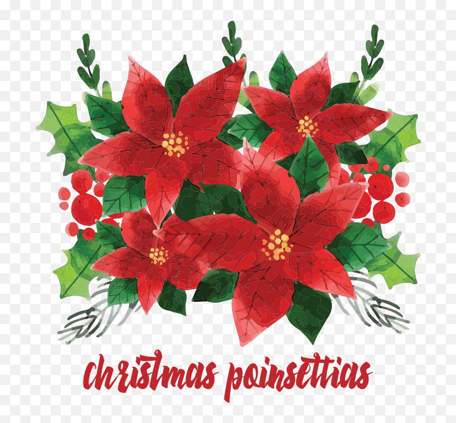 Poinsettias For Christmas Altar - Vector Graphics Event Emoji,Poinsettia Clipart