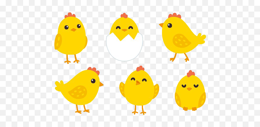 Baby Chicken Png Image With Transparent - Cute Chicken Set Png Emoji,Chicken Transparent Background