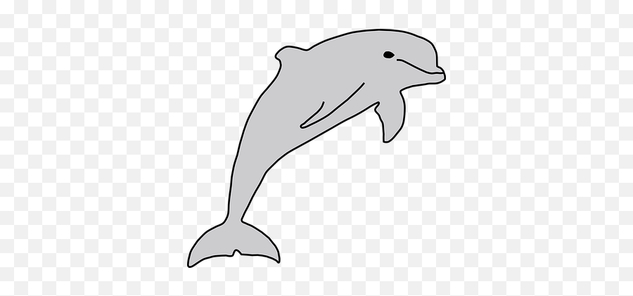 90 Free Marine Life U0026 Fish Vectors - Pixabay Delfín Clipart Emoji,Sea Animals Clipart