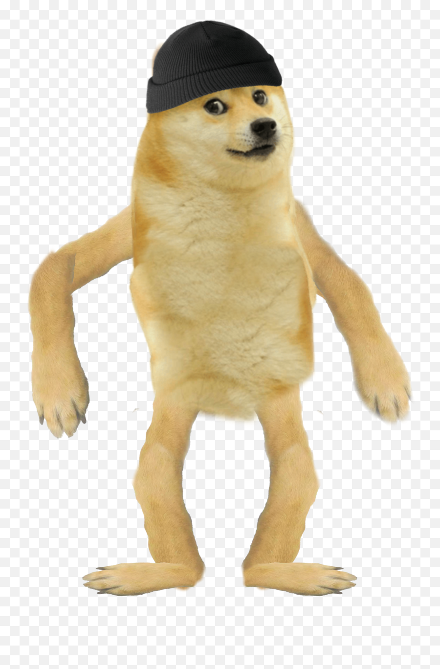 Doge Download Transparent Png Image - Doge Transparent Background Emoji,Doge Png