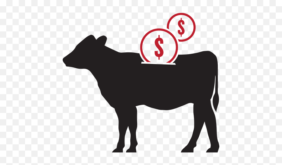 Zactran Gamithromycin Cattle Product From Boehringer Emoji,Antibiotic Clipart