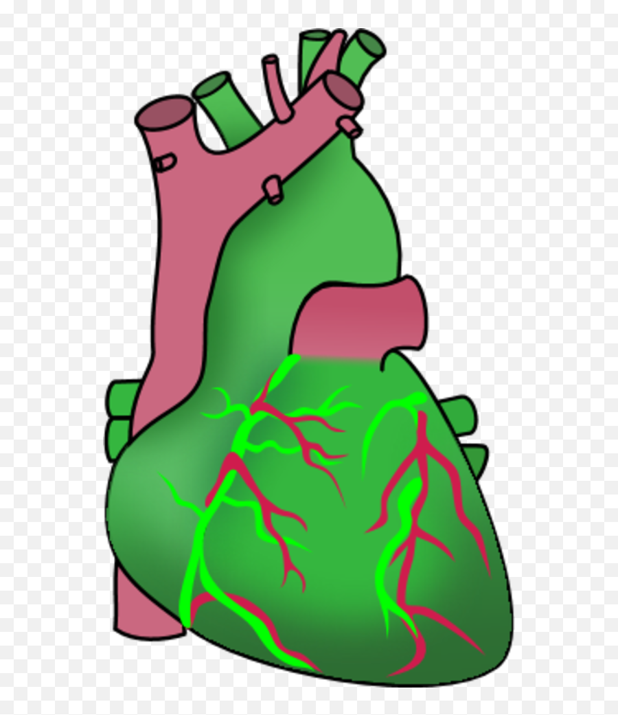 Free Human Heart Clipart Download Free Human Heart Clipart Emoji,Human Heart Clipart Black And White