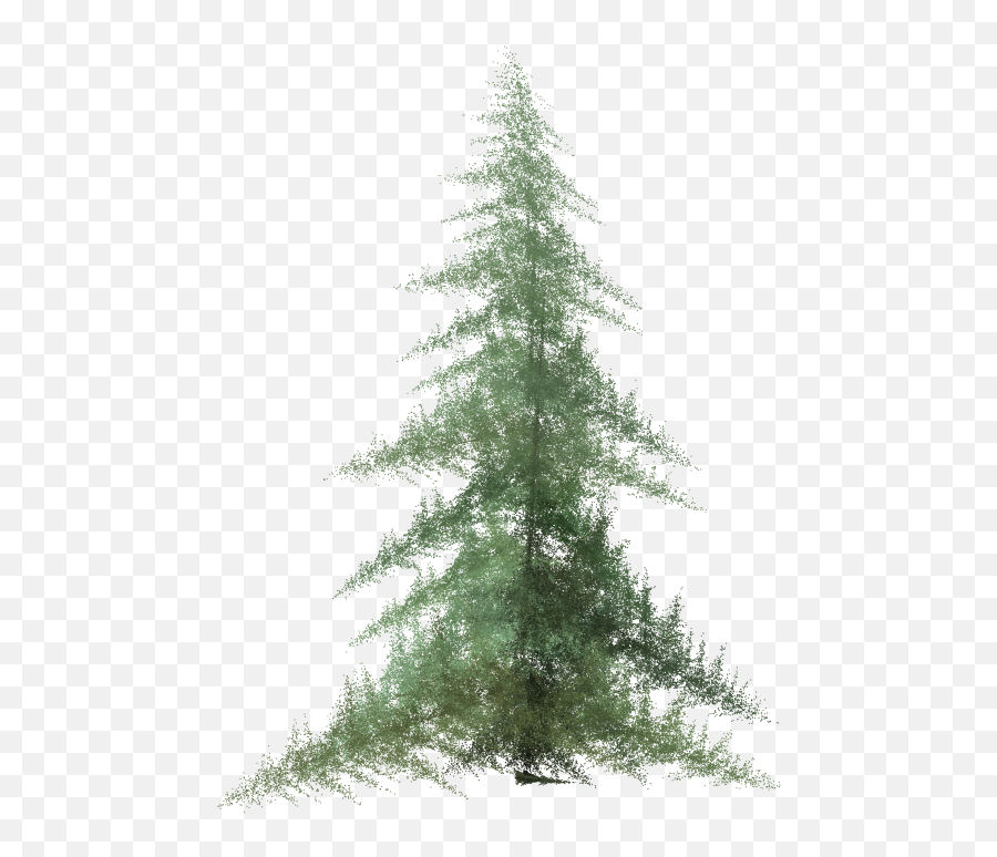 Ifs Pine - Fractal Pine Emoji,Pine Trees Png