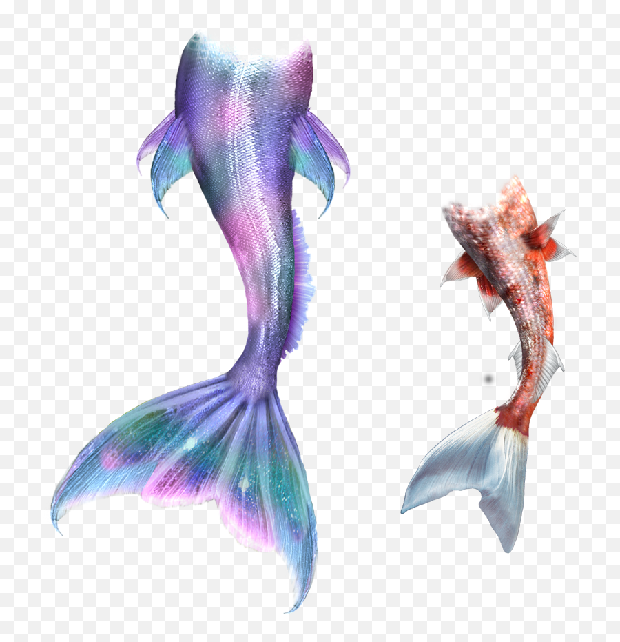 Png Transparent Stock Drawing Mermaid - Transparent Mermaid Tail No Background Emoji,Mermaid Tail Clipart