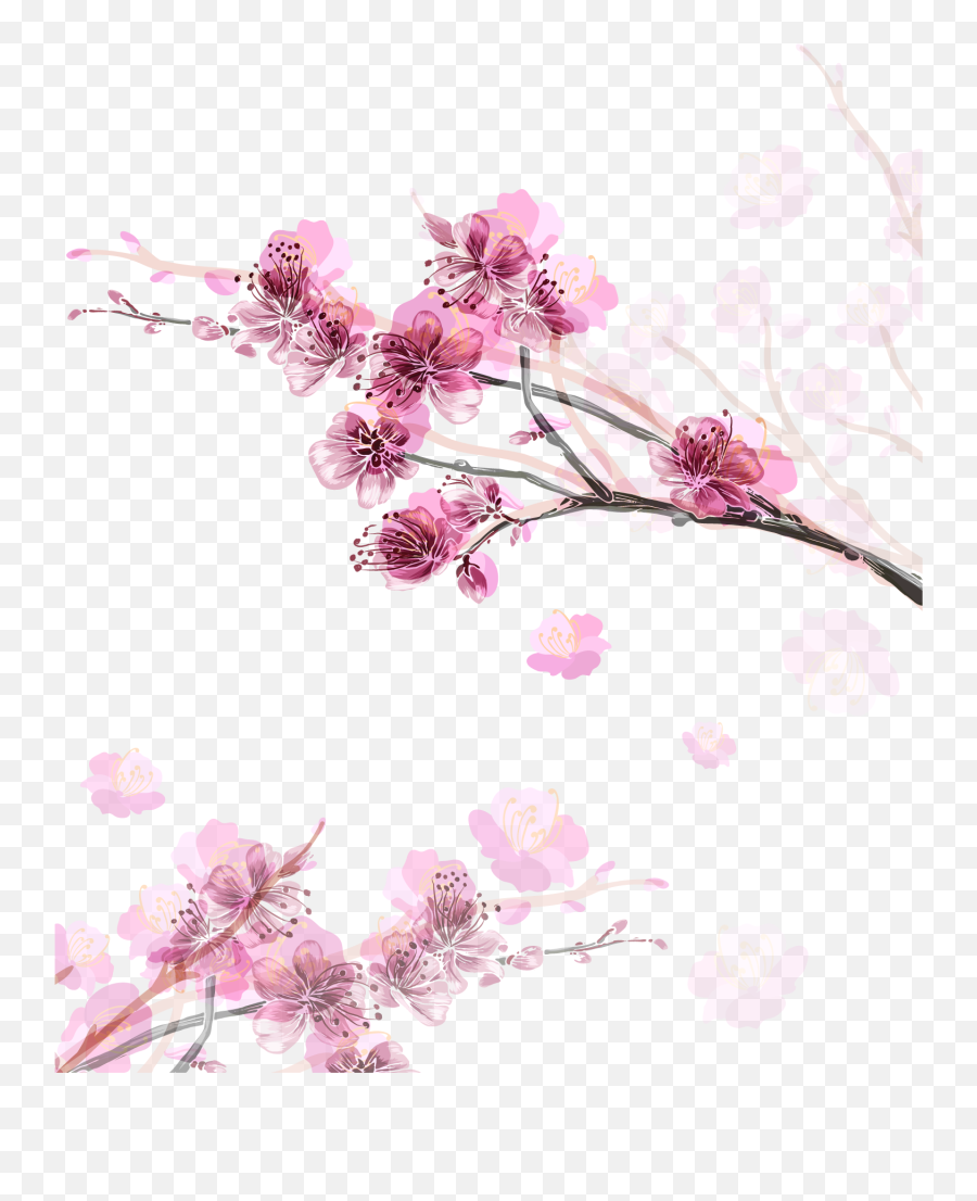 Paper Cherry Blossom Flower - Cherry Blossom Flower Motif Emoji,Cherry Blossom Transparent