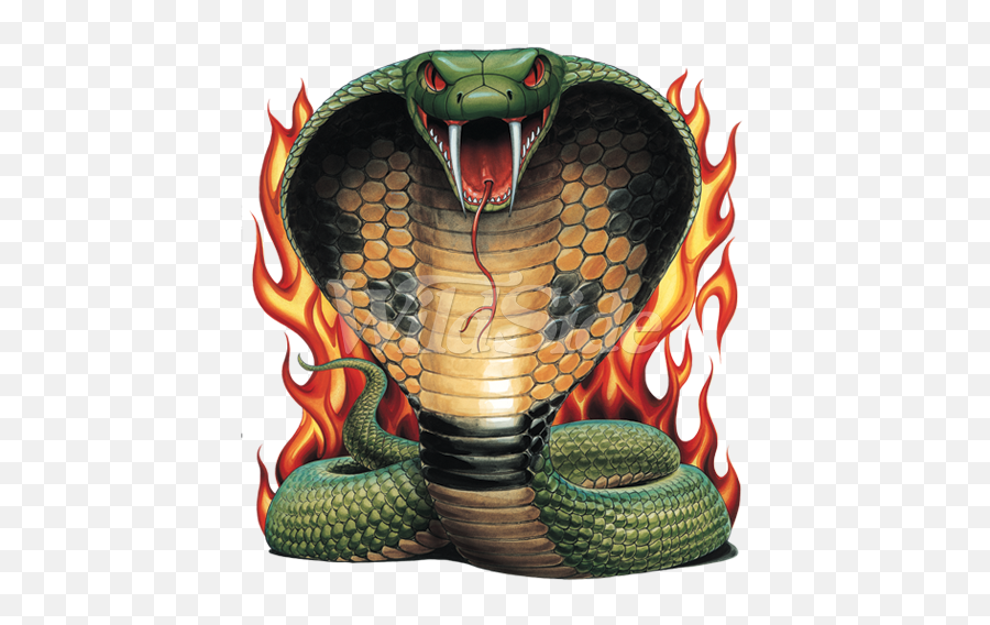 Flames Emoji,Cobra Png