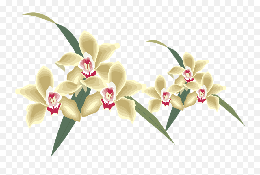 Flower Nature Clipart - Flower Clipart Emoji,Nature Clipart