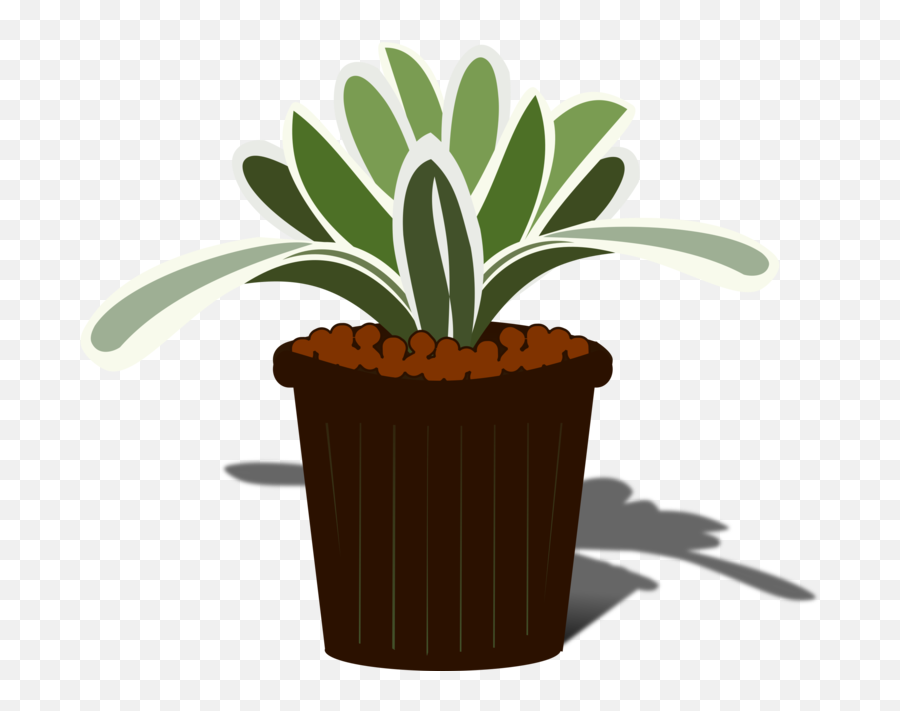 Plantflowerpottree Png Clipart - Royalty Free Svg Png Emoji,Flowerpot Clipart