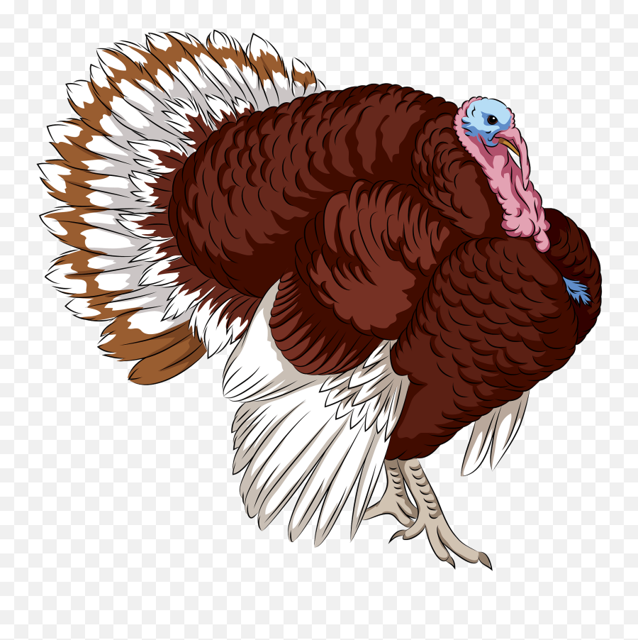 Bourbon Red Turkey Clipart Emoji,Turkey Clipart Free