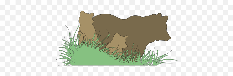 Yogi Bear Photo Background Transparent Png Images And Svg - Bears Emoji,Black Bear Clipart