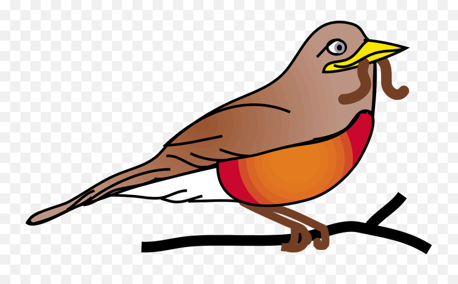 Red Robin Bird Animal Robin Png - Robin Clip Art Emoji,Robin Png