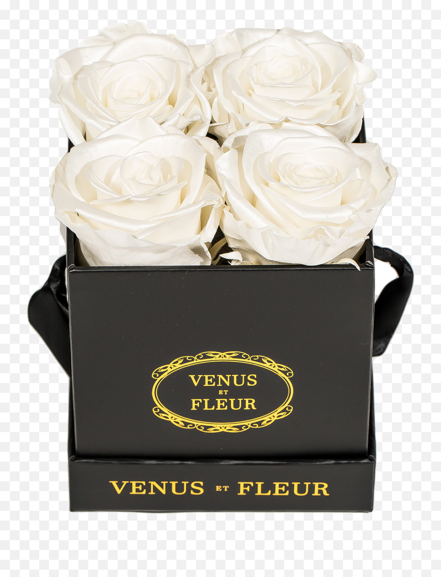 White Eternity Rose Arrangements U2013 Venus Et Fleur Emoji,Venus Transparent Background