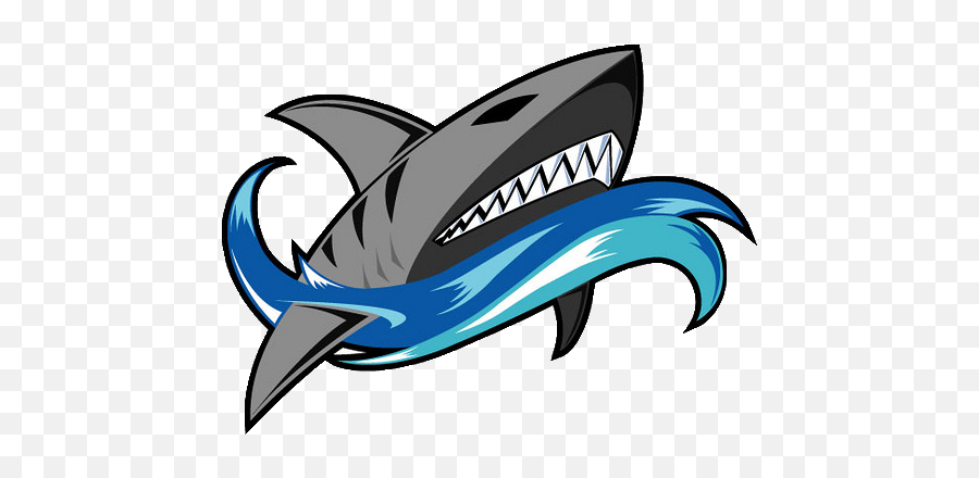 Download Hd When Trying To Change The Logo Sharks Logo Png - Shark Logo Emoji,Sharks Logo
