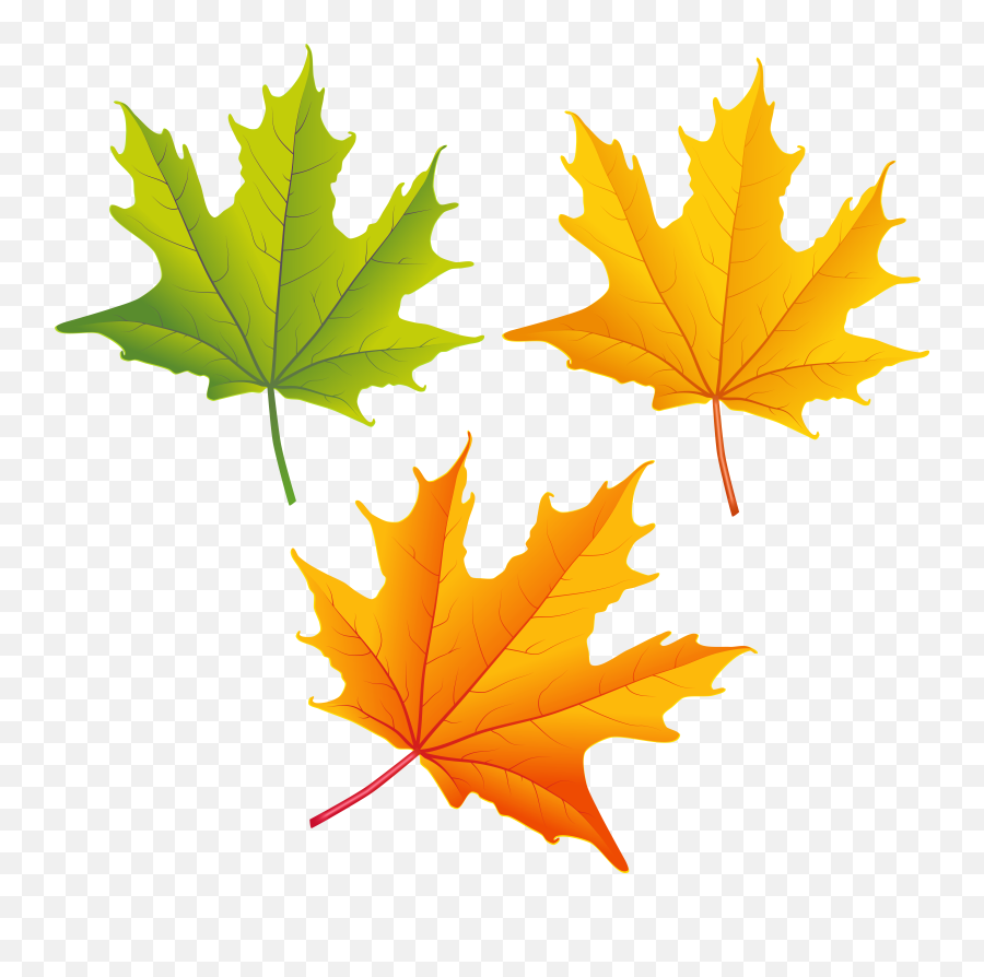 Set Of Autumn Leaves Png Clipart Image - Clipart Best Autumn Leaf Color Clip Art Emoji,Leaves Png