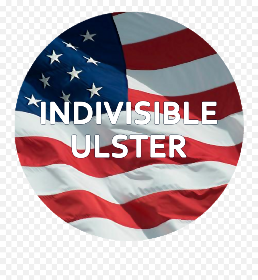 Michelle Hinchey For Ny State Senate Emoji,Indivisible Logo
