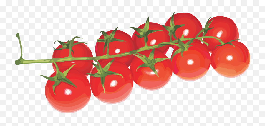 Tomatoes Cherry Png - Cherry Tomatos Transparent Background Emoji,Tomato Clipart